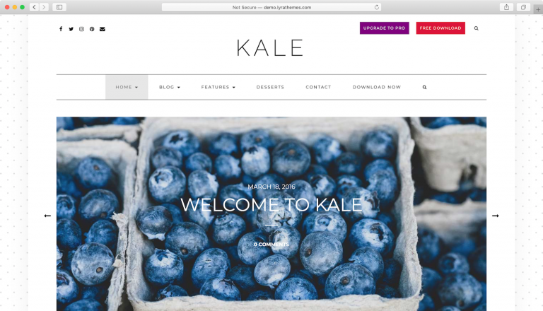 kale plantillas wordpress