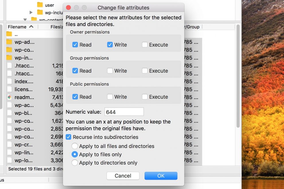 Ventana de cambiar atributos de archivo en Filezilla establecida para aplicar solo a archivos