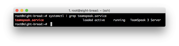 El servidor TeamSpeak 3 se ejecuta correctamente.