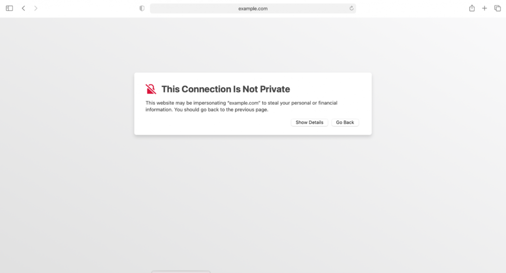 Captura de pantalla que muestra "Esta conexión no es privada" en Safari