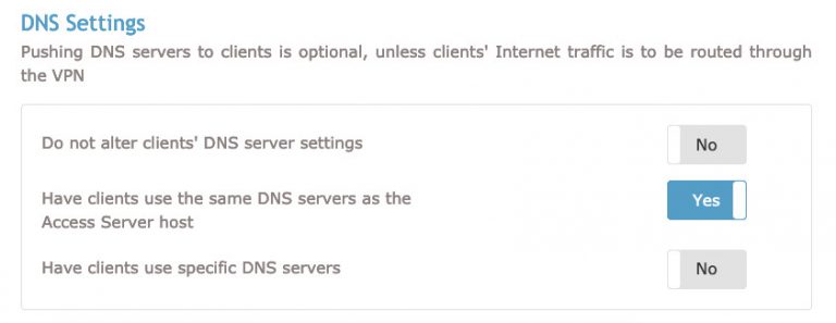 Sección de configuración de DNS de OpenVPN