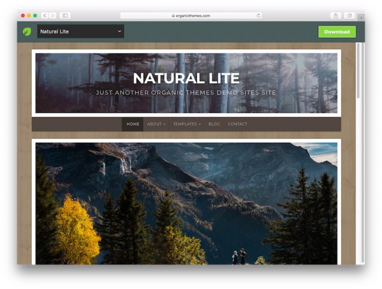 Demostración del tema Natural Lite WordPress para blogs