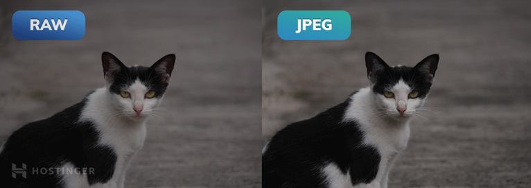 Diferencia entre una imagen con formato RAW y con JPEG