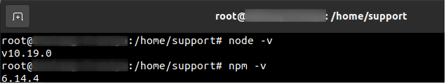 Comandos para verificar la versión de node.js