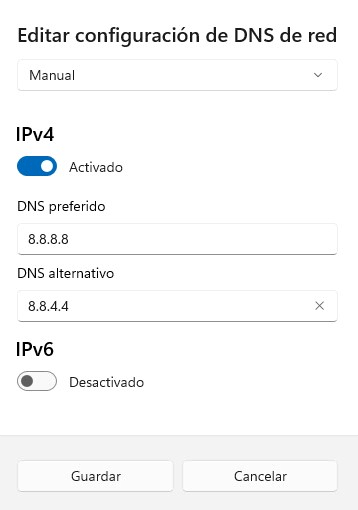 Visualización de la opción manual en la configuración de DNS