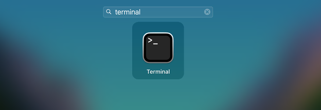 Visualización de la aplicación Terminal en macOS