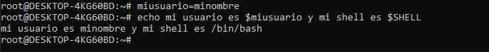 Crear usuario y comprobar shell en Bash.