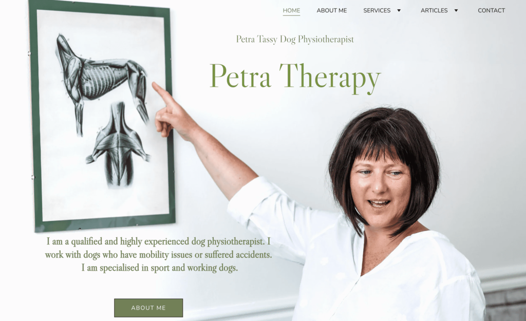 Ejemplo de sitio web profesional Petra Therapy